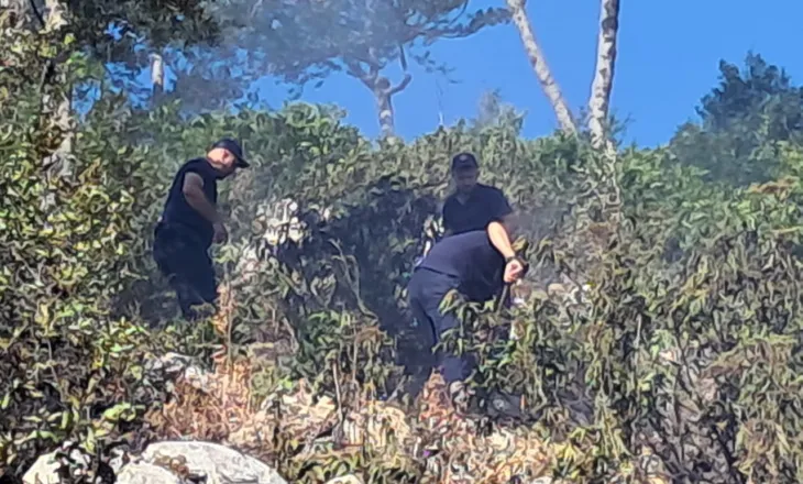 Zjarri në malin e Qukësit në Prrenjas dyshohet se është vënë qëllimisht
