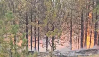 Zjarri në Malin e Tërbunit, 40 efektivë të FA dhe 2 helikopterë në terren, flakët vijojnë të monitorohen nga ajri