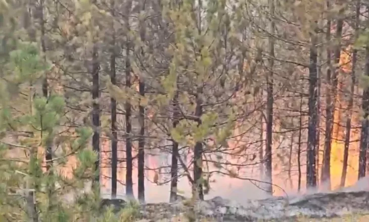 Zjarri në Malin e Tërbunit, 40 efektivë të FA dhe 2 helikopterë në terren, flakët vijojnë të monitorohen nga ajri