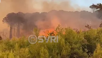Zjarri në Mallakastër del jashtë kontrollit, flakët përhapen drejt fshatit Drenije në Patos