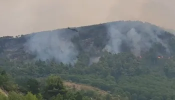 Zjarri në Mallakastër vijon të shkrumbojë sipërfaqe të madhe me pyje, përparon drejt fshatrave të Patosit