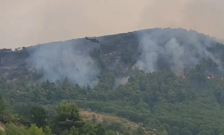 Zjarri në Mallakastër vijon të shkrumbojë sipërfaqe të madhe me pyje, përparon drejt fshatrave të Patosit
