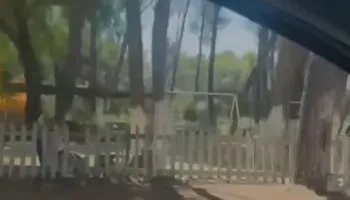 Zjarri në një lokal në Triport, rrezikohet Pylli i Sodës, riaktivizohet vatra në Pishporo