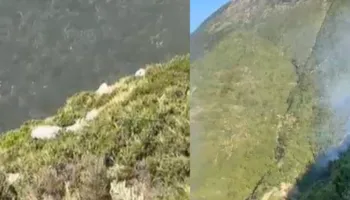 Zjarri në Palasë vihet nën kontroll, ndërhyrja e zjarrfikësve dhe helikopterëve frenon përhapjen e flakëve