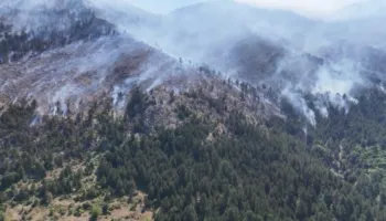 Zjarri në Parkun Kombëtar të Lurës/ Procedohen penalisht shefi i monitorimit dhe dy roje mjedisi