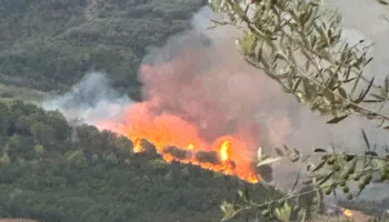 “Zjarri në Peshtan me rrezikshmëri të lartë”, deputeti i PD thirrje për ndërhyrje të menjëhershme