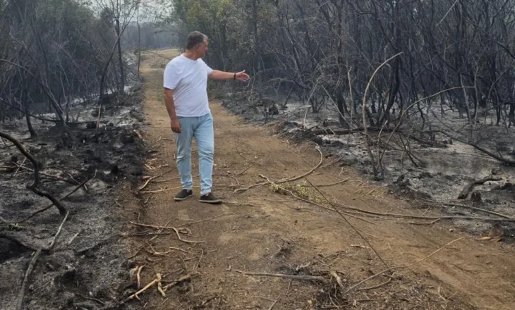Zjarri në Priskë, Blushi thirrje Ramës dhe ministrave: Ndërprisni pushimet dhe dilni në terren