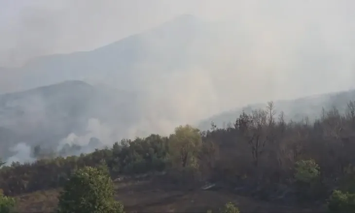 Zjarri në Priskën e Madhe merr përmasa të mëdha, një shtëpi e djegur dhe familje të evakuuara