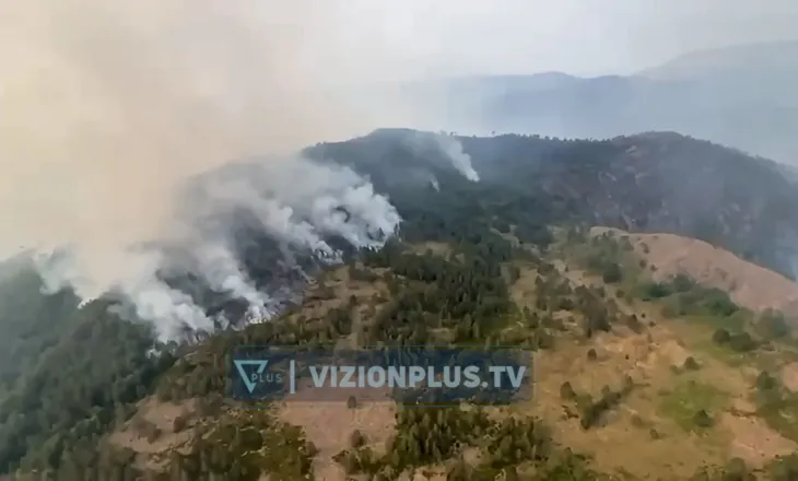 Zjarri në Pukë, flakët përpijnë 50 hektarë pyje! Vijon beteja nga ajri dhe toka