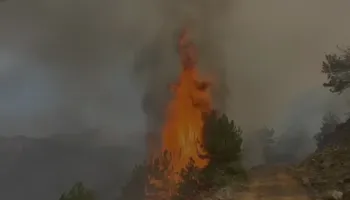 Zjarri në Pukë, flakët “përpijnë” pyllin me pisha