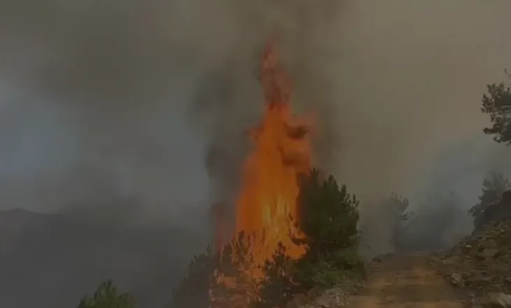 Zjarri në Pukë, flakët “përpijnë” pyllin me pisha