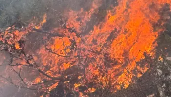Zjarri në terren të vështirë mes Golemit dhe Progonatit, digjen rreth 3 hektarë