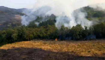 Zjarri në Tiranë, në fshatin Daias, po punohet nga toka dhe ajri