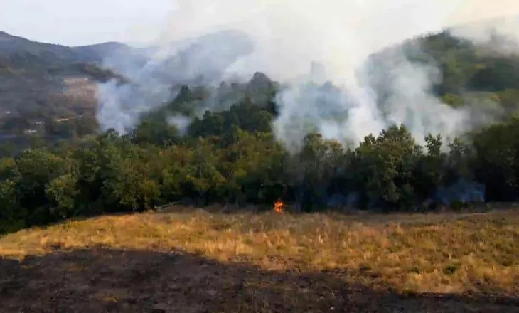 Zjarri në Tiranë, në fshatin Daias, po punohet nga toka dhe ajri