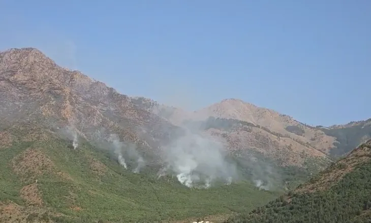 Zjarri në Vajkal të Bulqizës vijon të jetë aktiv, flakët përhapen drejt Fushë-Hutrës