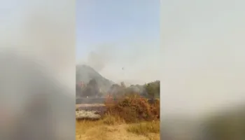Zjarri në Vranisht shkrumbon banesën, s’ka të lënduar! Flakët ‘përpijnë’ disa hektarë me pyje, vijon beteja nga terreni