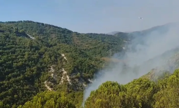 Zjarri nuk ndalet as pas 48-orëve në Mallakastër, era dhe temperaturat e larta përkeqësojnë situatën