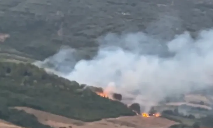 Zjarri përfshin edhe pyllin me pisha në Peshtan të Fierit, flakët larg banesave, operacion për shuarjen!