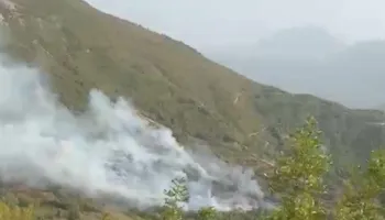 Zjarri përfshin malësinë e Krujës, flakët përhapen me shpejtësi/ Terreni i pamundur për zjarrfikëset, kërkohet ndërhyrje nga ajri!