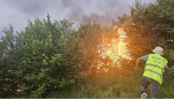 Zjarri përfshin masivin pyjor në Bulqizë, mungon ndërhyrja nga ajri