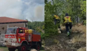 Zjarri përfshin masivin pyjor në Lugaxhi të Elbasanit, flakët avancojnë drejt banesave