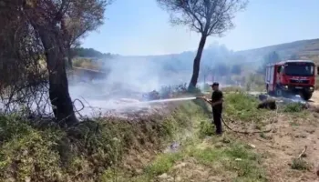 Zjarri përfshin një sipërfaqe me shkurre dhe pemë në Libofshë, ndërhyjnë zjarrfikësit