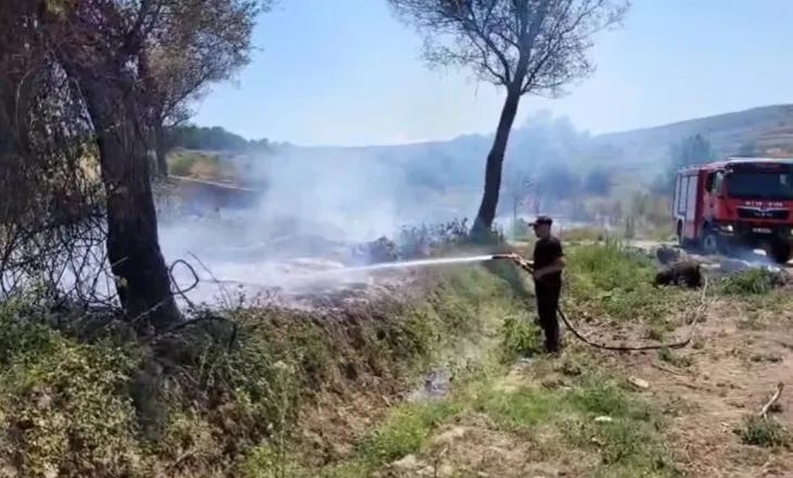 Zjarri përfshin një sipërfaqe me shkurre dhe pemë në Libofshë, ndërhyjnë zjarrfikësit