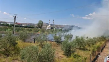 Zjarri përfshin parcelën me ullinj në Cërrik, flakët rrezikojnë banesat, në terren forca të shumta zjarrfikëse