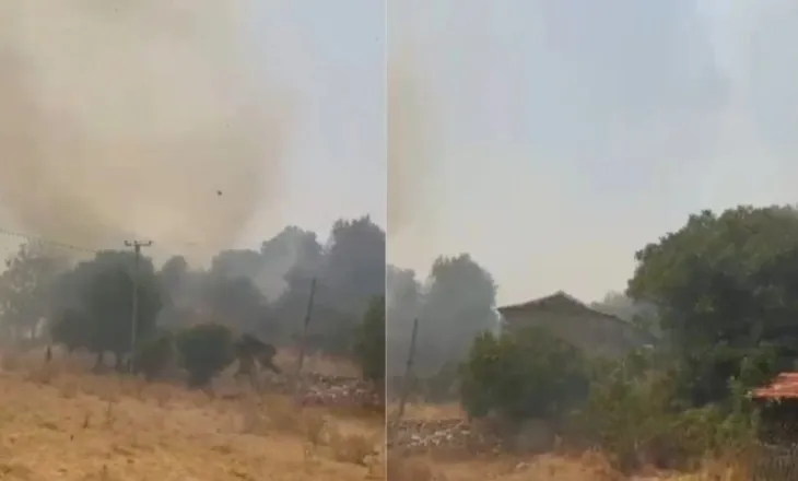 Zjarri përfshin zonën e Vranishtit në Himarë, era përhap flakët me shpejtësi, terreni i vështirë për ndërhyrje!