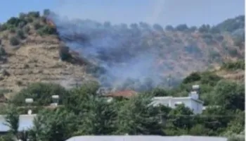 Zjarri shkrumbon kodrat me ullinj në Peqin, digjen 2 hektarë, dyshohet se u vu qëllimisht!