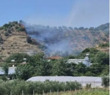Zjarri shkrumbon kodrat me ullinj në Peqin, digjen 2 hektarë, dyshohet se u vu qëllimisht!