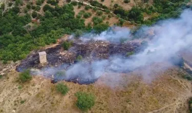 Zjarri shkrumbon ullinjtë shekullorë në Mallakastër, digjen mbi 1 hektarë tokë! Shkak dyshohet shkëndijë në kabinën elektrike