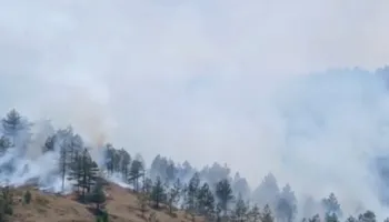 Zjarri vijon të djegë pyjet e Tërbunit në Pukë, era favorizon flakët! Aksion nga toka dhe ajri, hetime dhe për akt të qëllimshëm