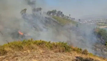 24 orë nën flakë, zjarri përfshin kodrat e Bardhajve në Shkodër