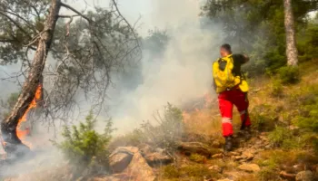 27 vatra zjarri në 24 orë, 4 aktive në vend. Ja zonat problematike