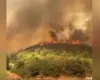 39 vatra në 24 orët e fundit, situata më problematike në Fier dhe Himarë. Mbi 800 forca të angazhuara në terren