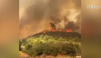 39 vatra në 24 orët e fundit, situata më problematike në Fier dhe Himarë. Mbi 800 forca të angazhuara në terren