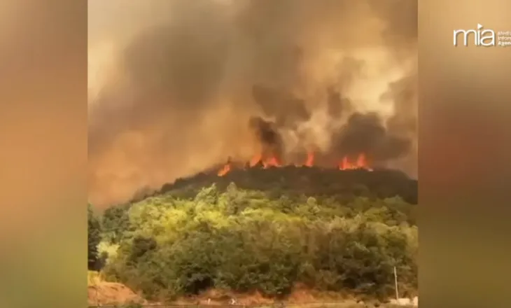 39 vatra në 24 orët e fundit, situata më problematike në Fier dhe Himarë. Mbi 800 forca të angazhuara në terren