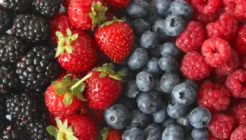 5 fruta të zakonshme që mund të përmirësojnë shëndetin e trurit