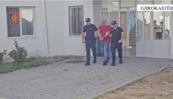 685 kg mish viçi dhe 83 kg peshk kontrabandë në autobusin e linjës Athinë-Gjirokastër, dy të arrestuar (VIDEO)