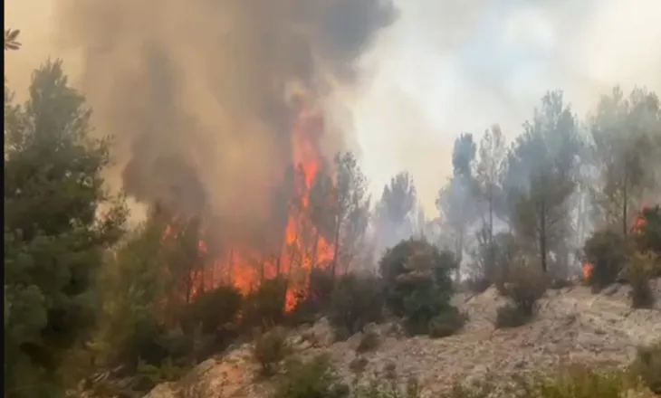 Alarm në Krastë të Krujës, rrezikohen rreth 20 banesa. Banorët kërkojnë ndërhyrje nga ajri