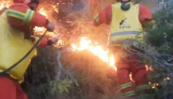 Alarm në Pukë, vatër e re zjarri në Tërbun pas djegies së 3 mijë hektarëve