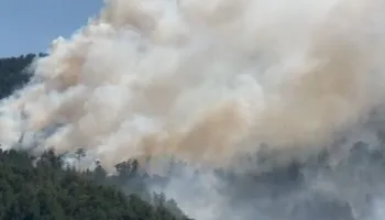 Alarm në Pukë, zjarri në Malin e Tërbunit del jashtë kontrollit dhe i afrohet qytetit