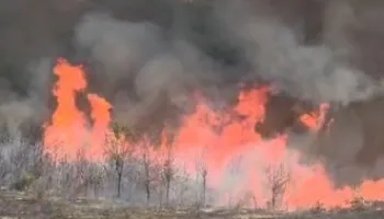 Alarmi/ Zjarr pranë depos së dinamitit në Qinam të Tiranës