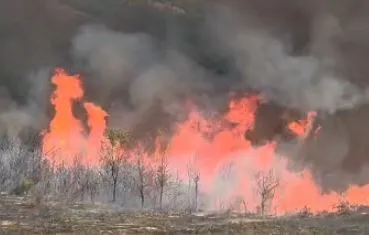 Alarmi/ Zjarr pranë depos së dinamitit në Qinam të Tiranës