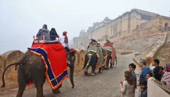 Analiza e Bloomberg: Pse India po tërheq më pak turistë të huaj se Shqipëria?