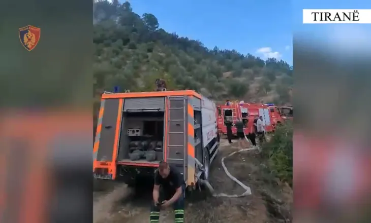Arrestohen 2 persona për zjarrvënie në Kombinat dhe Prush, një prej tyre në “arrest shtëpie”