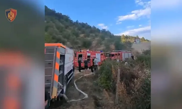 Arrestohen dy persona në Tiranë për zjarrvënie, njëri theu masën e sigurisë