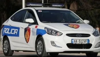Arrestohen ish-kreu i Kadastrës Fier dhe biznesmeni, dyshohen për falsifikim pronash në Seman