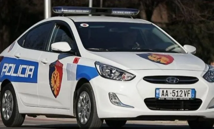 Arrestohen ish-kreu i Kadastrës Fier dhe biznesmeni, dyshohen për falsifikim pronash në Seman